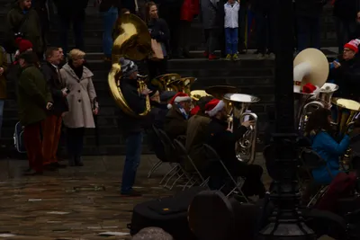 DSC_5846 (Large).JPG